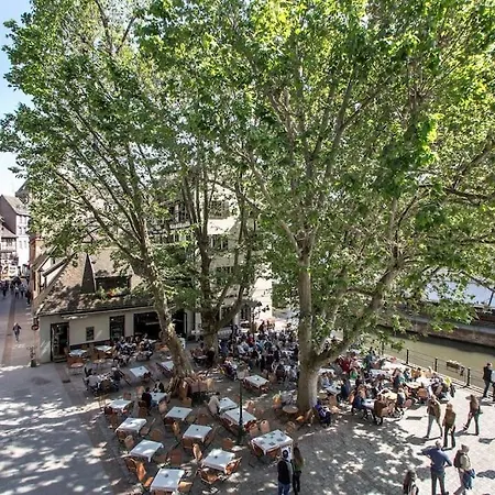 Le 52 Zix - Joli Au Coeur De La Petite France