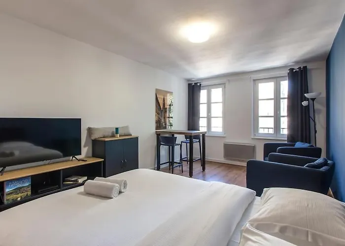 Le 52 Zix - Joli Au Coeur De La Petite France Lägenhet Strasbourg